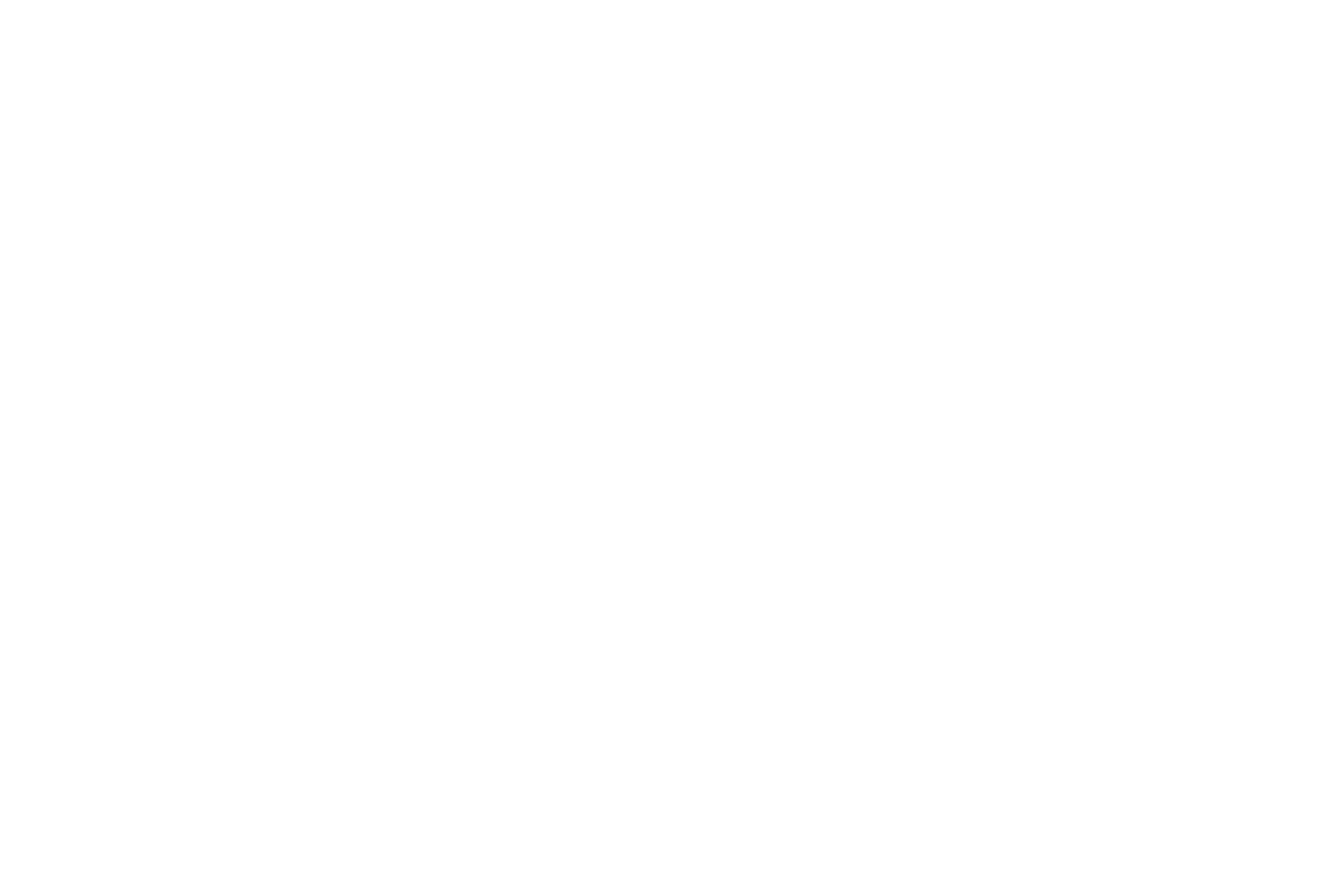 garanti