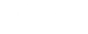 Netse Teknoloji